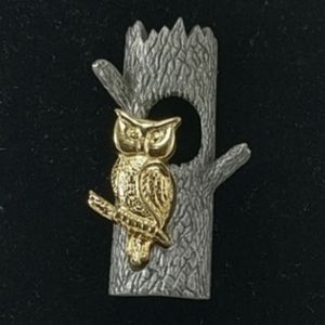 🇨🇦 Mid 1990s Pewter and Vermeil Owl Brooch